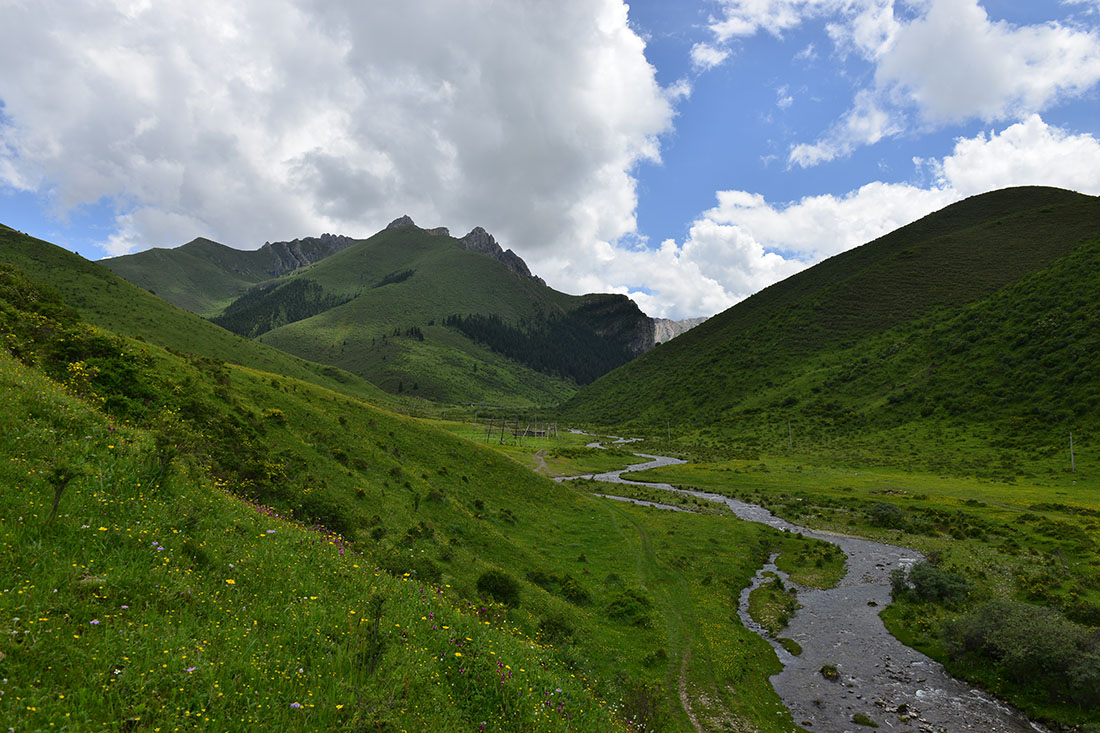 车巴护林点风景