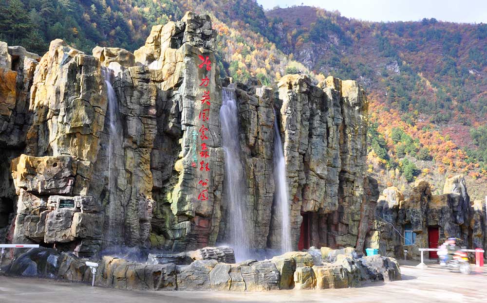 洮河林区风景