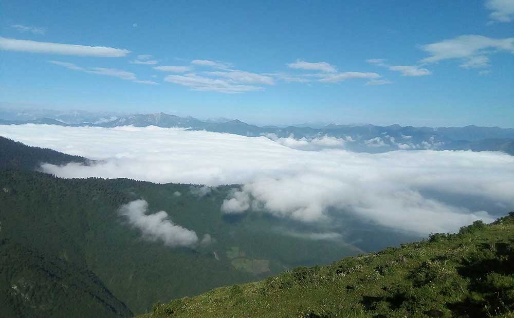 插岗梁林区风光
